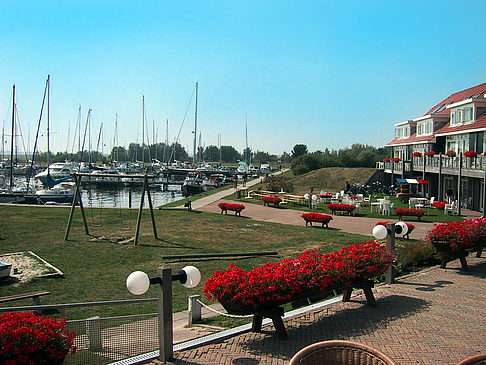 Fotos Hafen in Holland | 